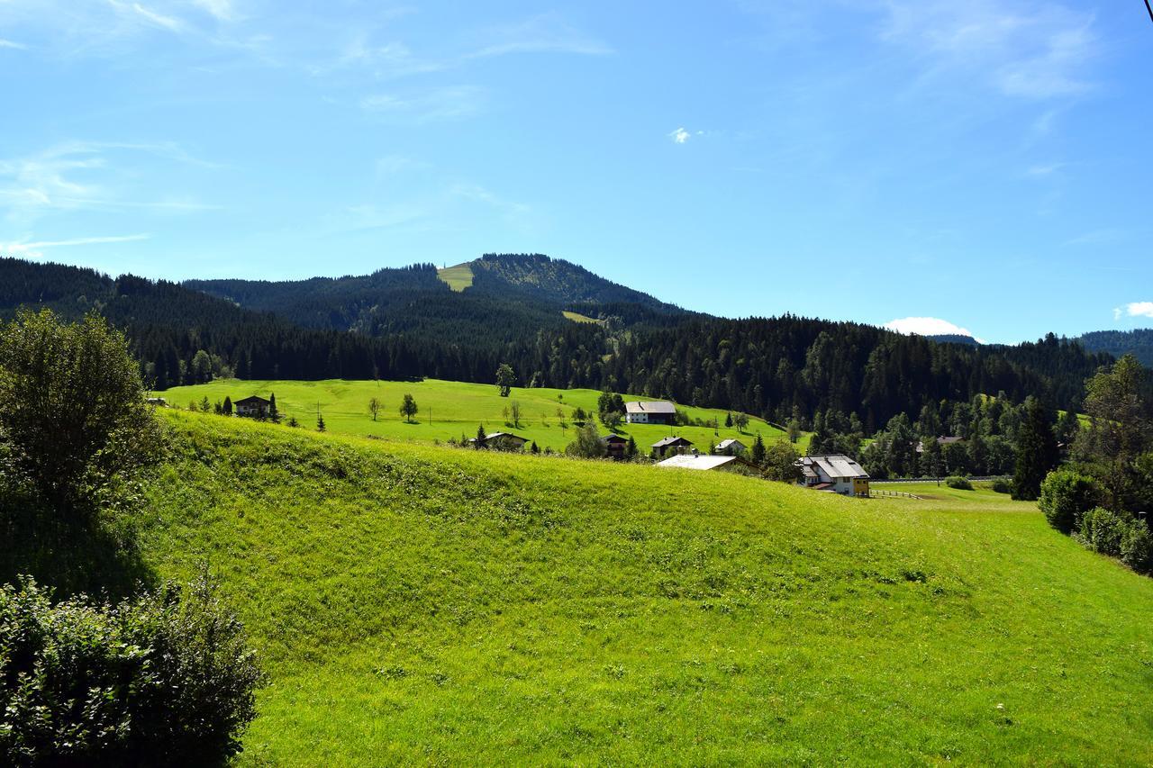 Hotel Kronenhirsch Russbach am Pass Gschütt Exterior foto